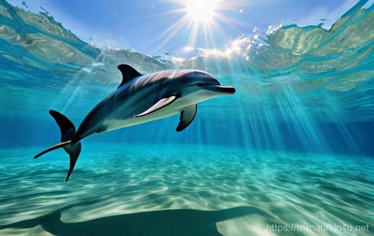 모리셔스 관광 필수 코스 - **Prompt 1: A Magical Dolphin Encounter**
"A person, seen from a slightly elevated underwater pe...